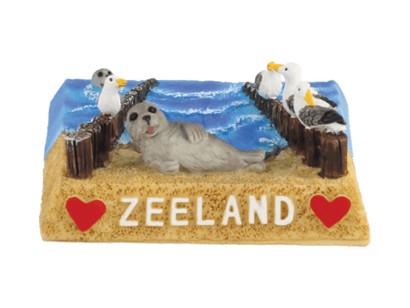 Tafereel zeehond op strand