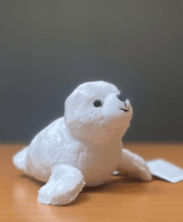 Zeehond met zeehonden geluid