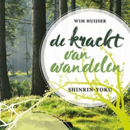 de kracht van wandelen